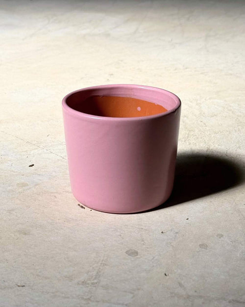 Gift Set Ritual – Maranta Leuconeura