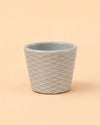 Super Mini Maceta Gris - 6 cm