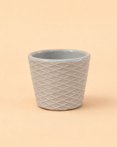 Super Mini Maceta Gris - 6 cm