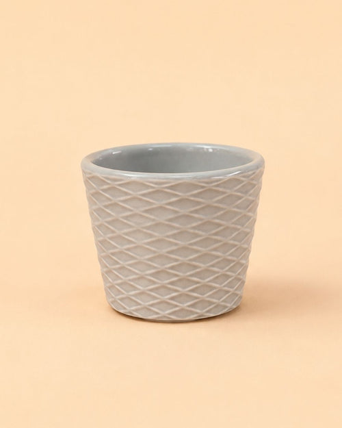 Super Mini Maceta Gris - 6 cm