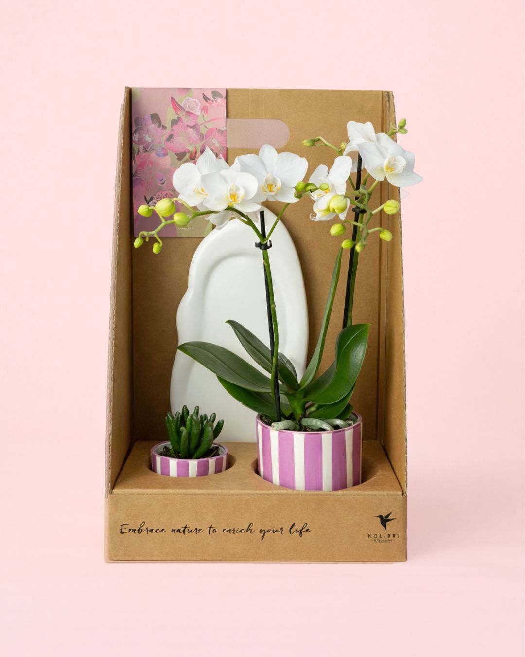 gift set purple packaging