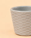 Super Mini Maceta Gris - 6 cm