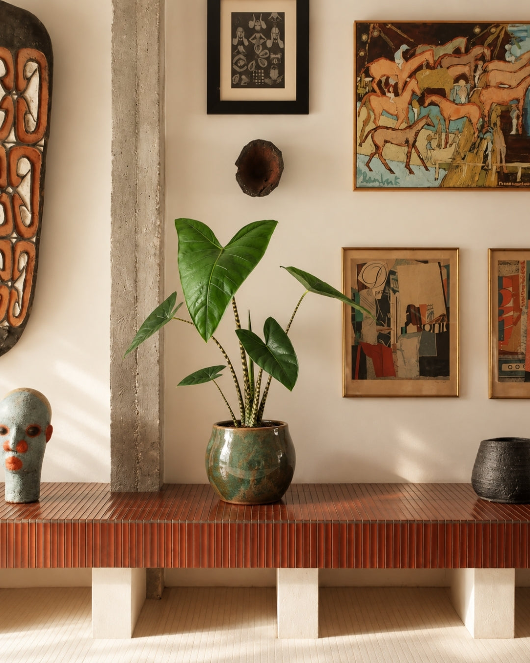 Alocasia Zebrina M context