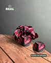 Begonia-Rex-Red-real