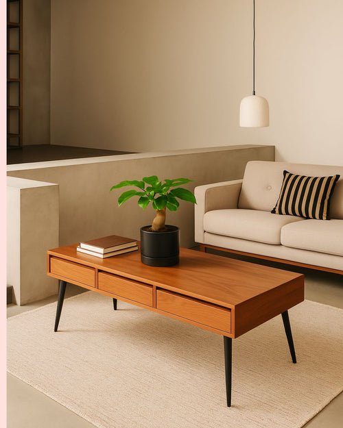 Bonsai-Redermachera-Sinica-contexto