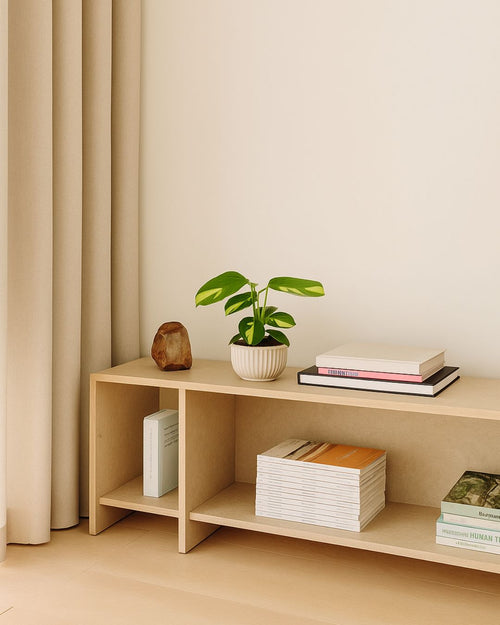 Ctenanthae-Pilosa-Contexto