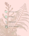 Helecho Arborescente - Cyathea tomentosissima M