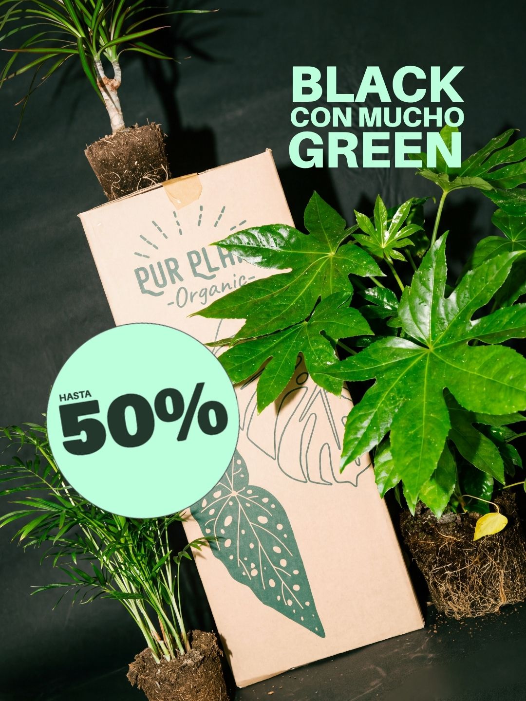 Banner de la campaña Black Friday de Pur Plant