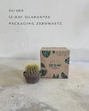 Cactus Asiento de Suegra packaging