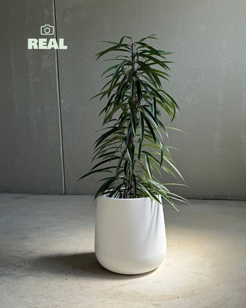 Hall - Macetero blanco XL 33,5 cm