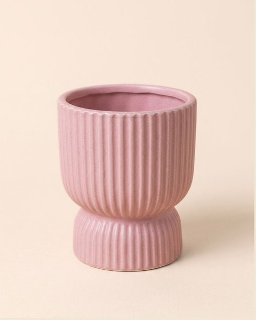 Jolie, mini maceta de cerámica rosa de Pur Plant