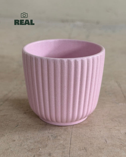 Foto real de la mini maceta de cerámica Lines rosa