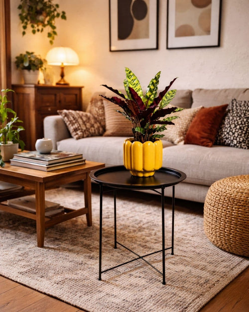 Mesa Soporte para Plantas