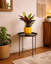Mesa Soporte para Plantas