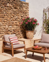 Adelfa - Nerium Oleander Mix M