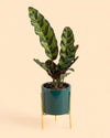 Super Mini Maceta Esmeralda Con Soporte - 6 cm