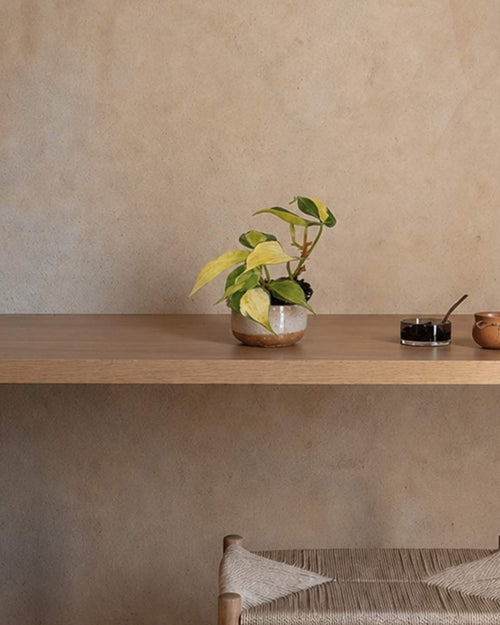 Philodendron Brasil Mini