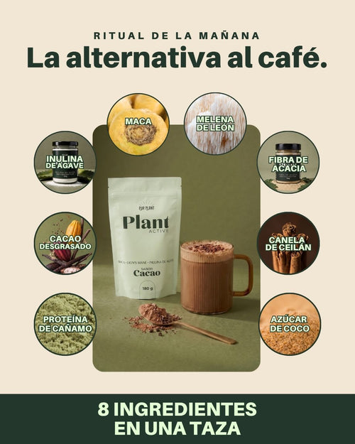 plant active cacao ingredients