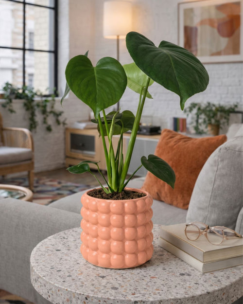 Poppy – Maceta Cerámica Salmón M 12 cm