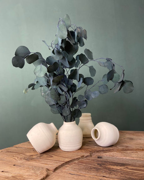 Ramo de Eucalipto Populus Preservado Verde con Jarrón contexto jarrones