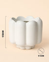 Retro-blanca-size