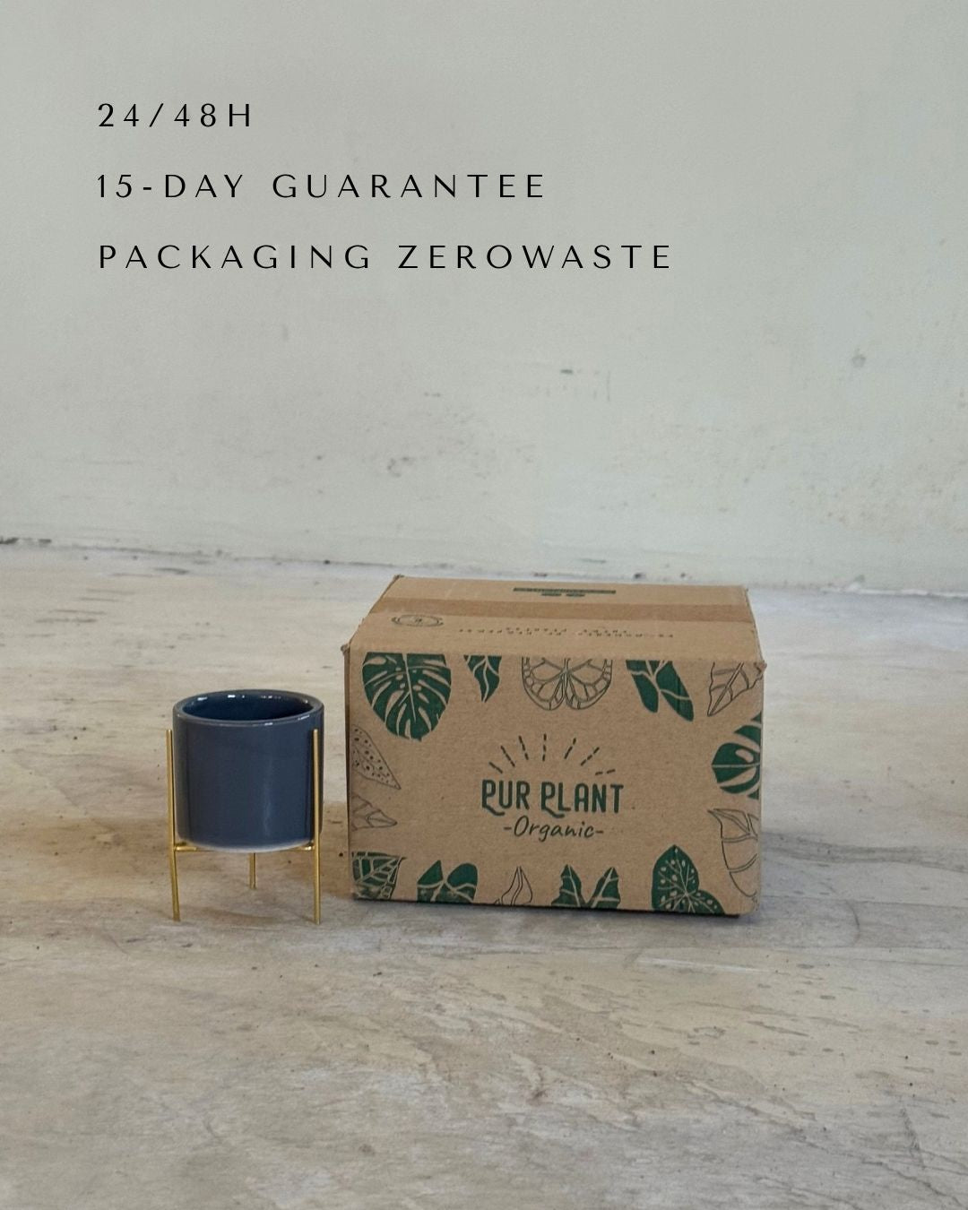 Super Mini maceta gris con soporte packaging