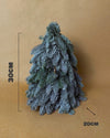 Abeto Natural Mini - Pur Plant