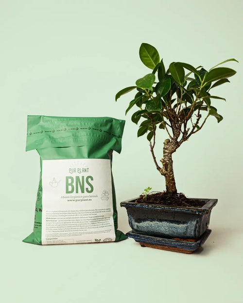 Abono Orgánico para Bonsái 500g - Pur Plant