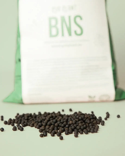Abono Orgánico para Bonsái 500g - Pur Plant