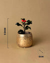 Acebo Mini - Pur Plant