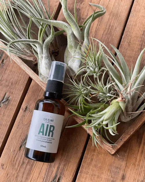 Air Spray para Tillandsias 50ml - Pur Plant