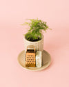 Ambientador Sostenible Blanco con Mini Planta - Pur Plant