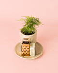 Ambientador Sostenible Blanco con Mini Planta