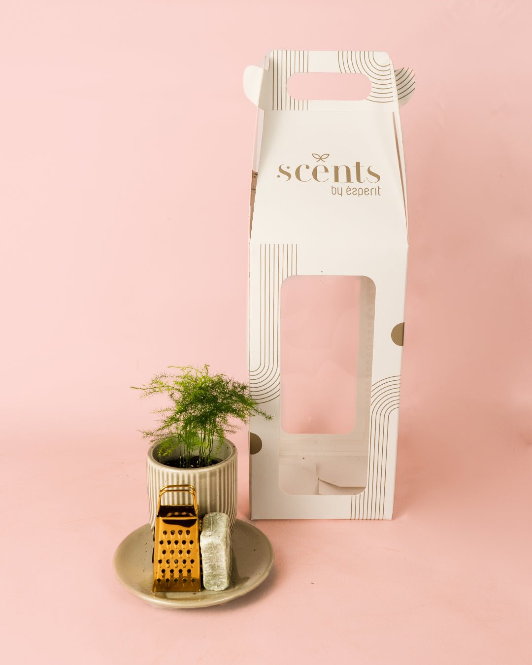 Ambientador Sostenible Blanco con Mini Planta - Pur Plant