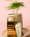 Ambientador Sostenible Blanco con Mini Planta - Pur Plant