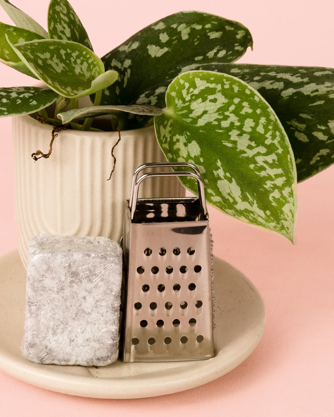 Ambientador Sostenible Verde con Mini Planta - Pur Plant