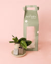 Ambientador Sostenible Verde con Mini Planta - Pur Plant