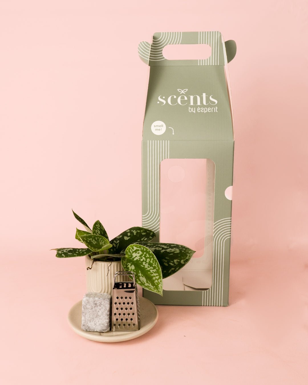 Ambientador Sostenible Verde con Mini Planta - Pur Plant
