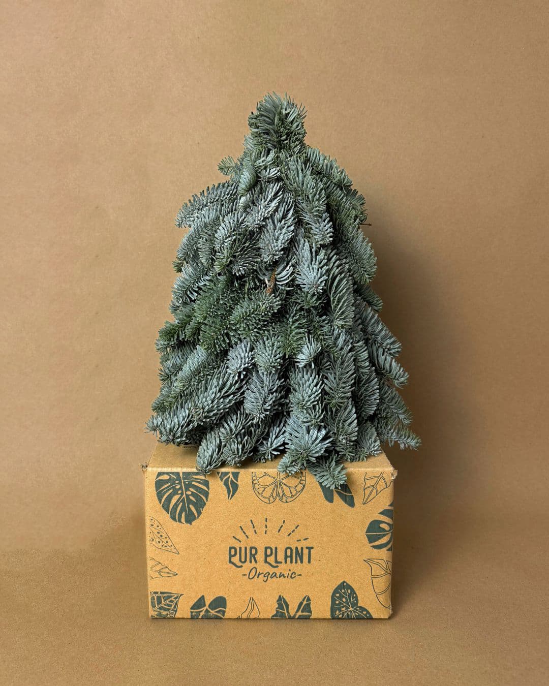 arbolito navidad natural caja