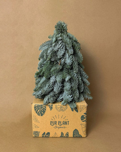 arbolito navidad natural caja