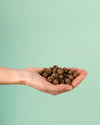 Arlita – Arcilla Expandida 3L - Pur Plant