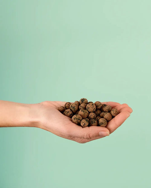 Arlita – Arcilla Expandida 3L - Pur Plant