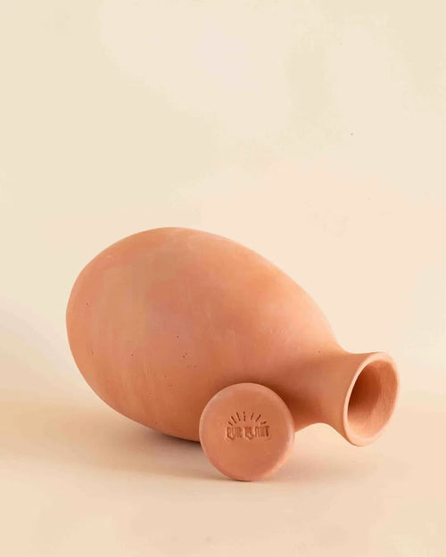 Kit 5x Ollas Autorriego Terracota 2L