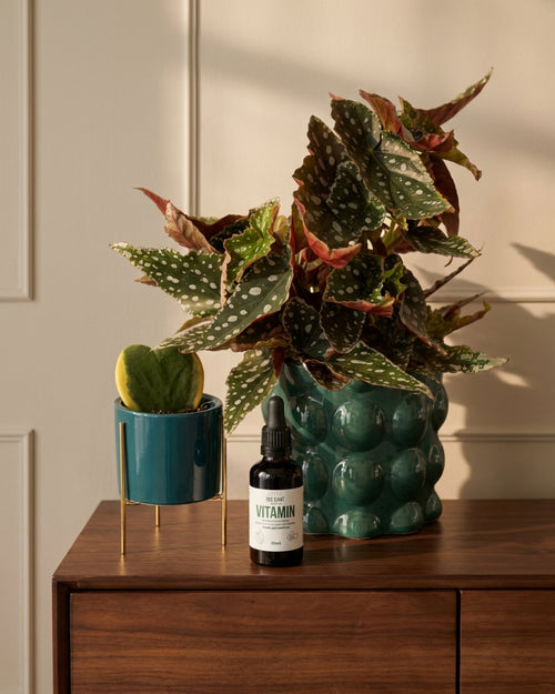 Vitamin – Aminoácidos Libres para Plantas 50ml