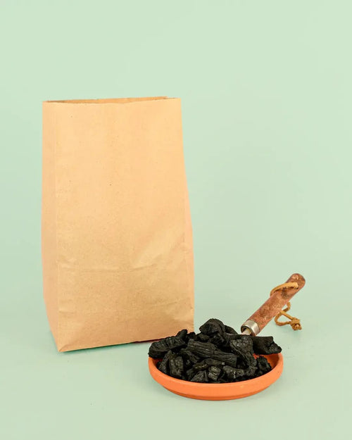 Biochar – Carbón Activo 3L - Pur Plant