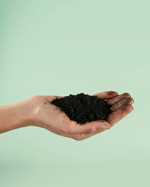 Biochar – Carbón Activo 3L