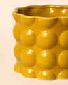 Bob – Maceta Cerámica Amarilla M 12 cm - Pur Plant