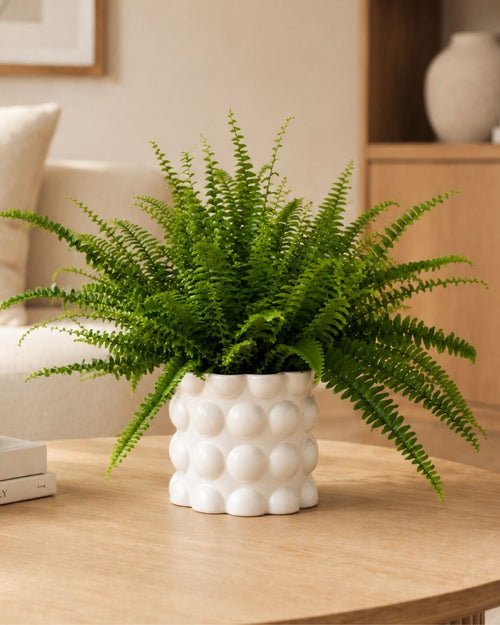 Bob – Maceta Cerámica Blanca M 12 cm - Pur Plant