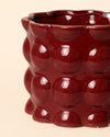Bob – Maceta Cerámica Roja M 12 cm - Pur Plant
