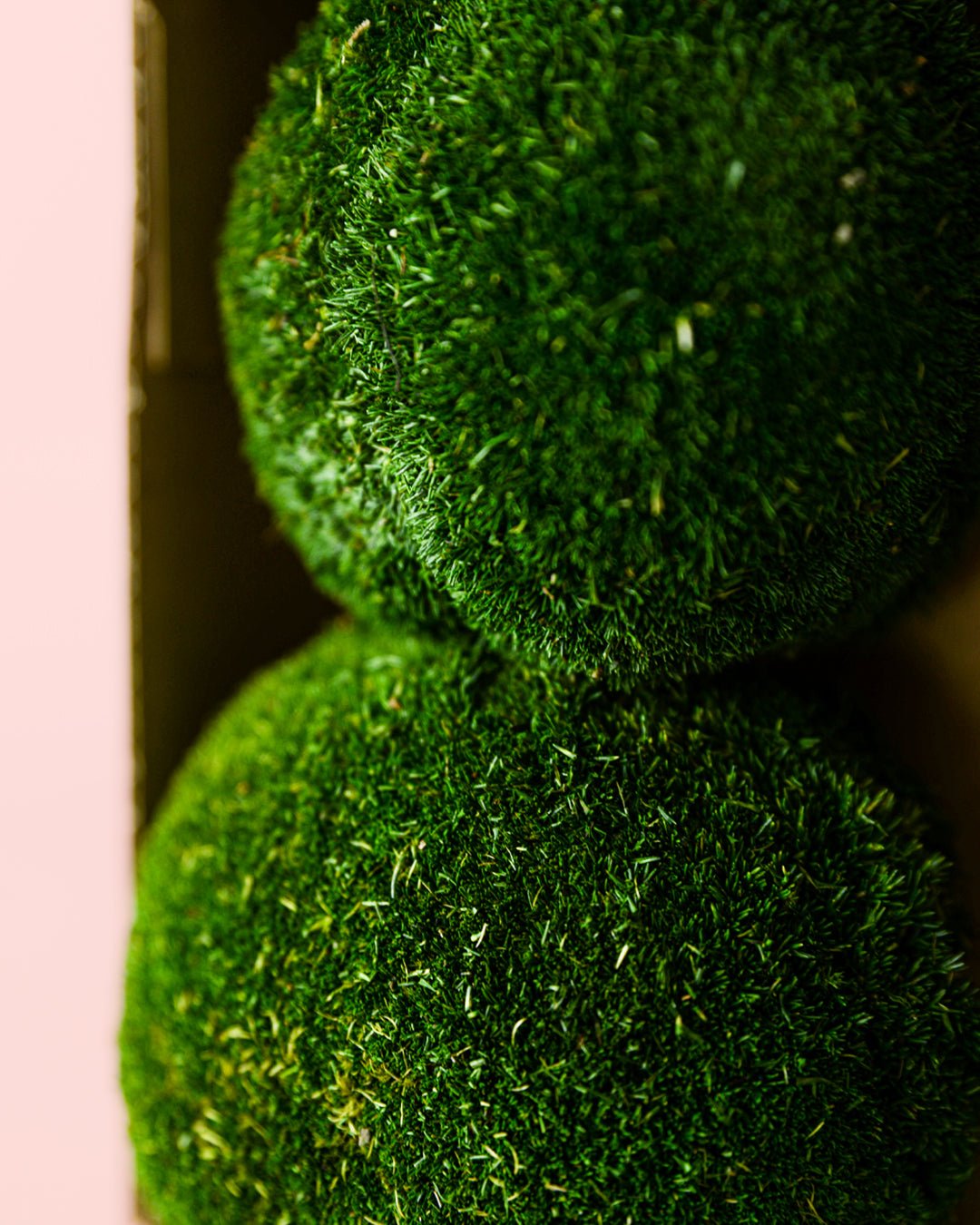 Bolas de Musgo Preservado - Pur Plant